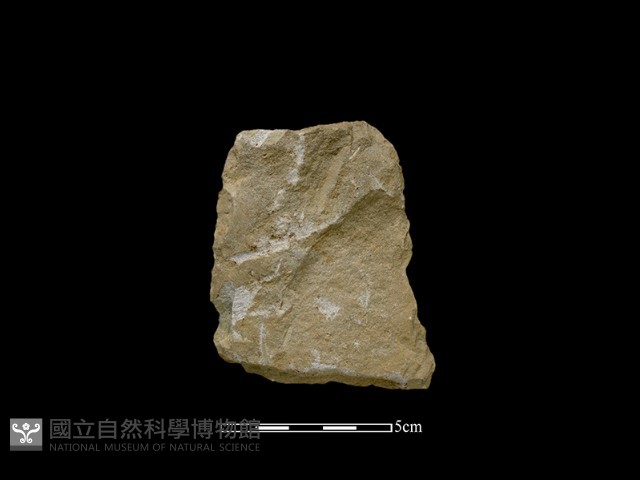斧鋤形器藏品圖，第2張