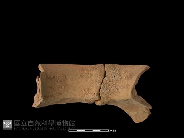 陶罐藏品圖，第2張