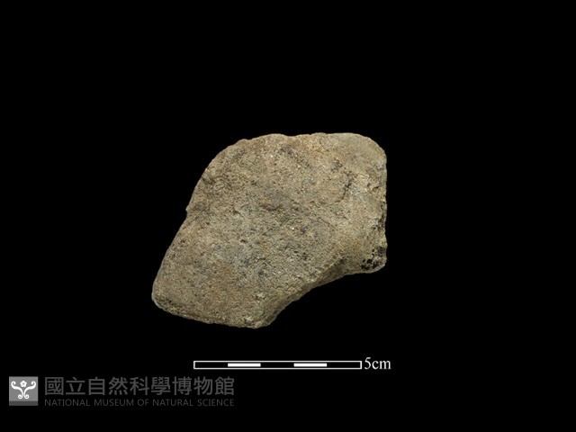 斧鋤形器藏品圖，第1張