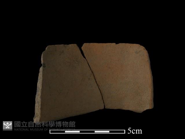 陶片藏品圖，第2張