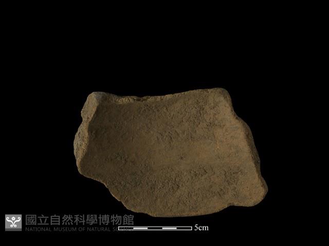 陶片藏品圖，第3張