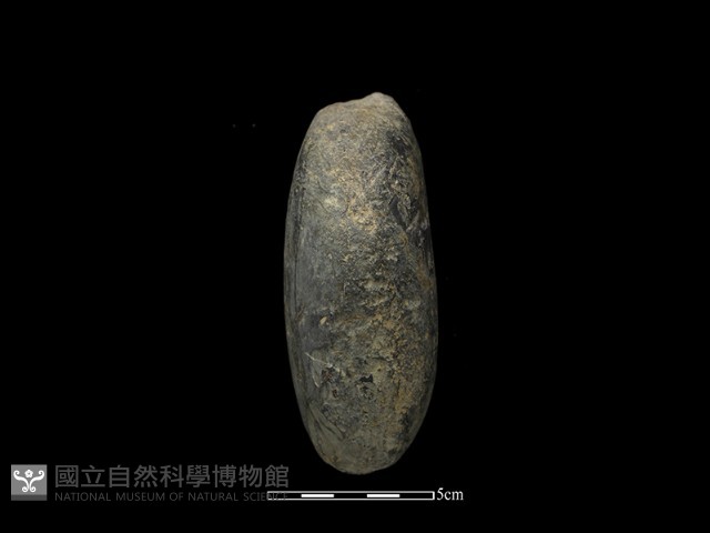 石鎚藏品圖，第2張