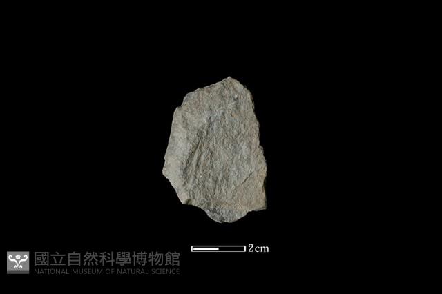 斧鋤形器藏品圖，第1張