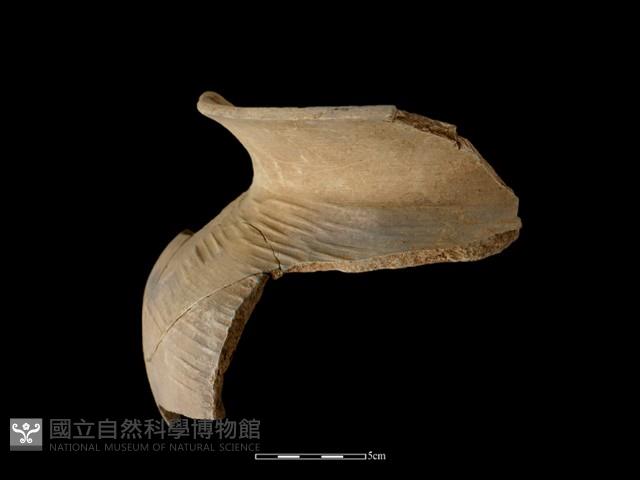 陶罐藏品圖，第2張