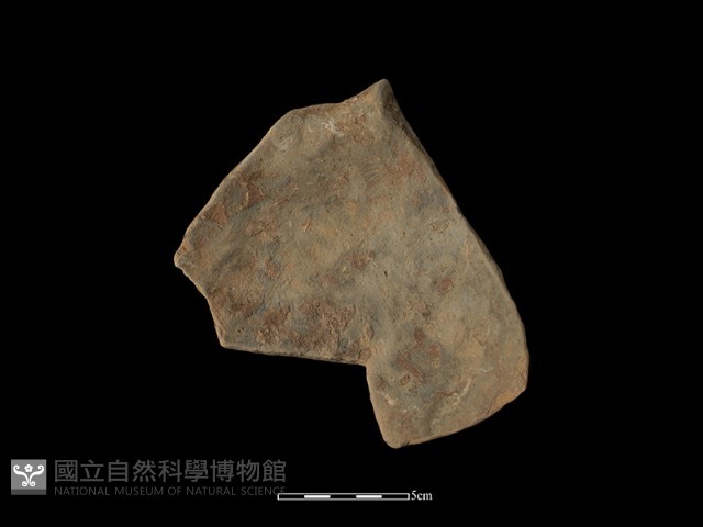 陶罐藏品圖，第1張