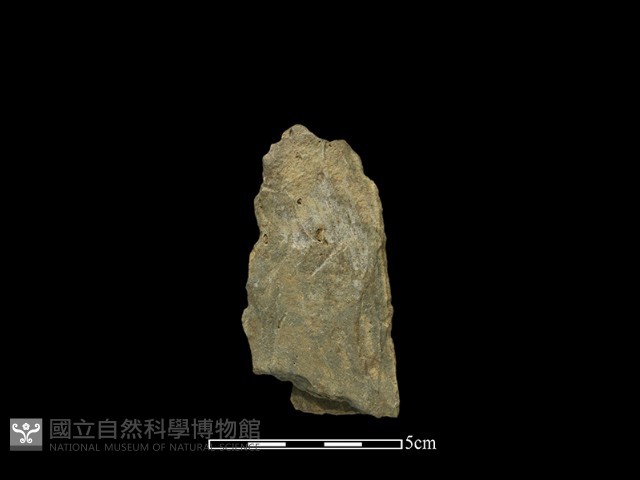 斧鋤形器藏品圖，第2張