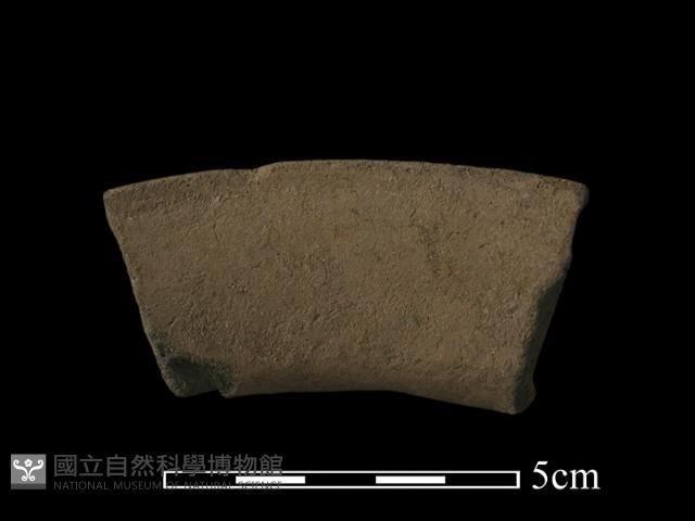 陶片藏品圖，第2張