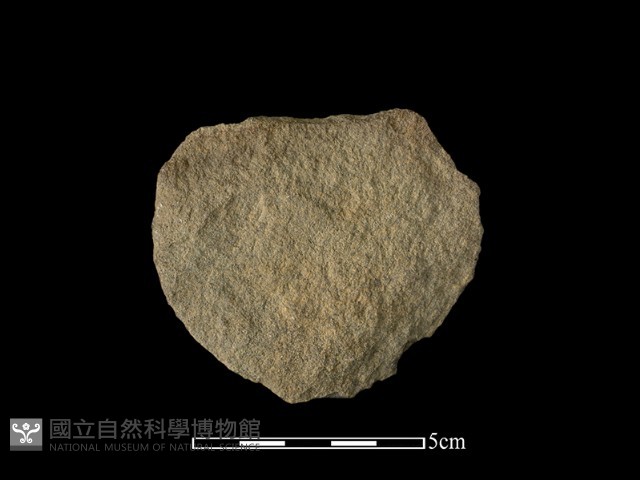 石片器藏品圖，第1張
