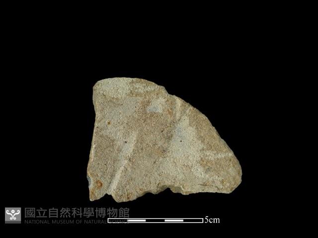 石片器藏品圖，第2張