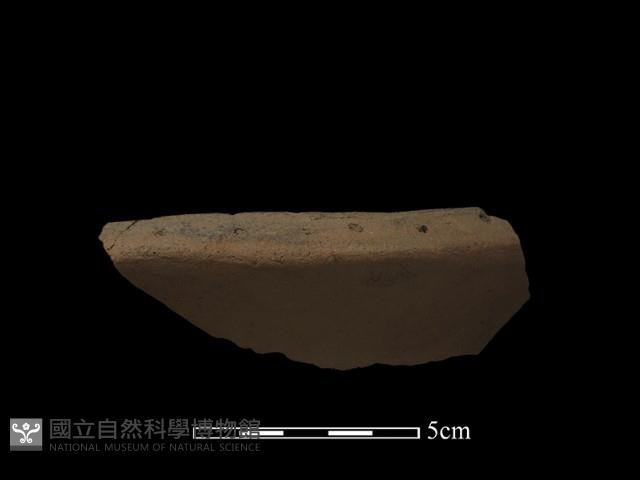 陶片藏品圖，第2張