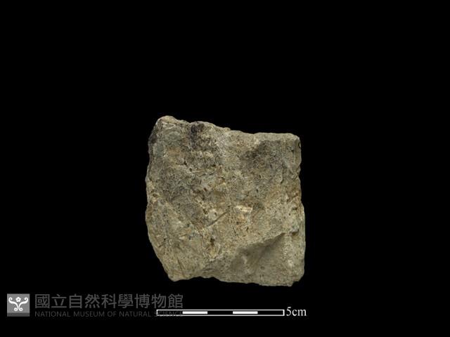 磨製斧鋤形器藏品圖，第1張