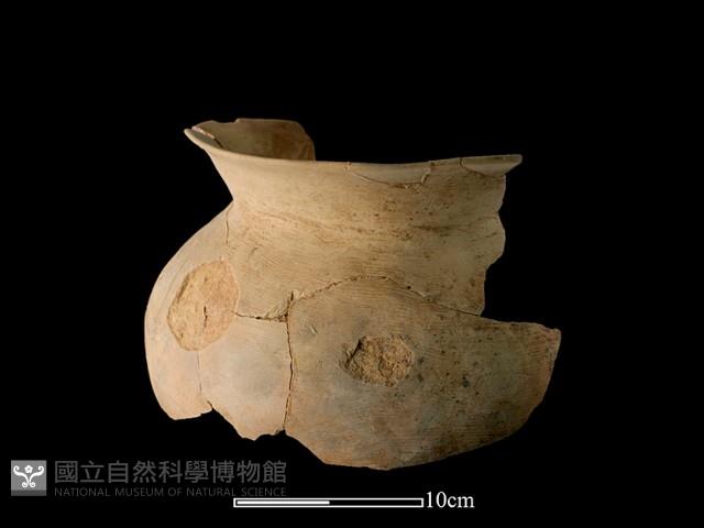 陶罐藏品圖，第1張