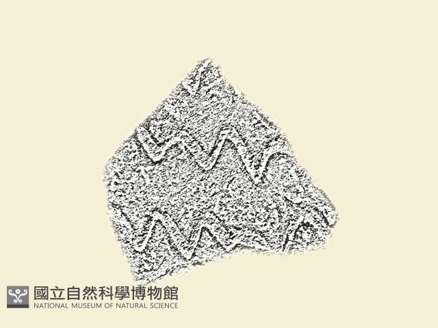 陶片藏品圖，第2張