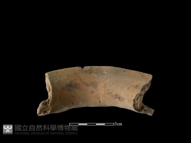 陶罐藏品圖，第1張