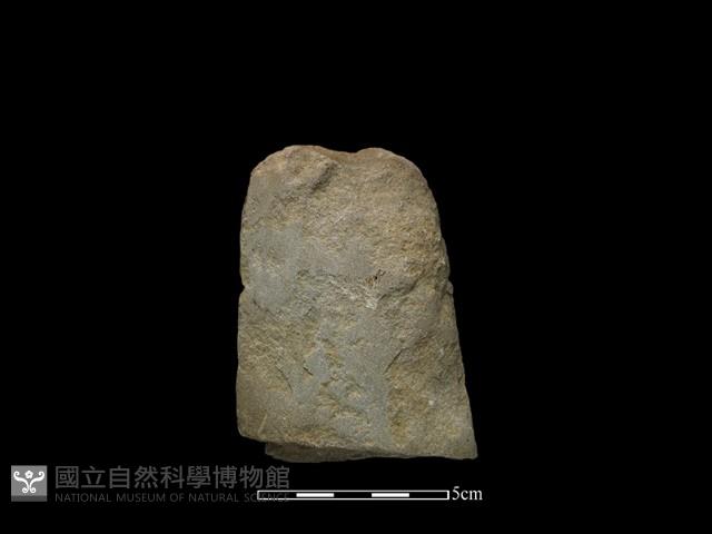 磨製斧鋤形器藏品圖，第2張