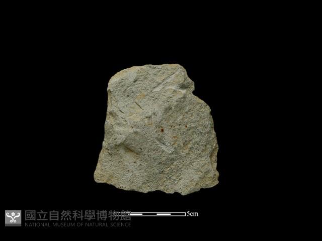 斧鋤形器藏品圖，第1張