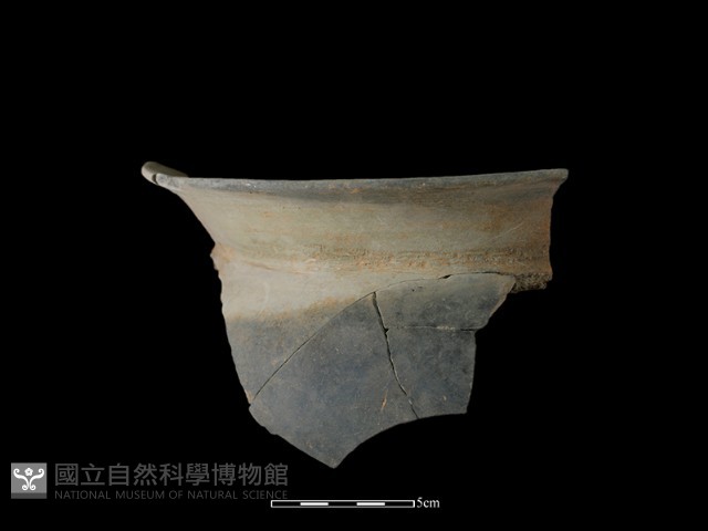 陶罐藏品圖，第3張