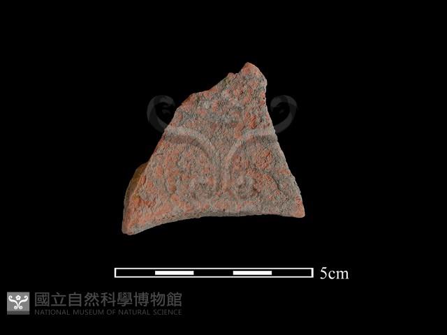 連杯形器藏品圖，第2張