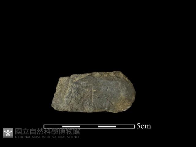 帶加工痕石材藏品圖，第1張