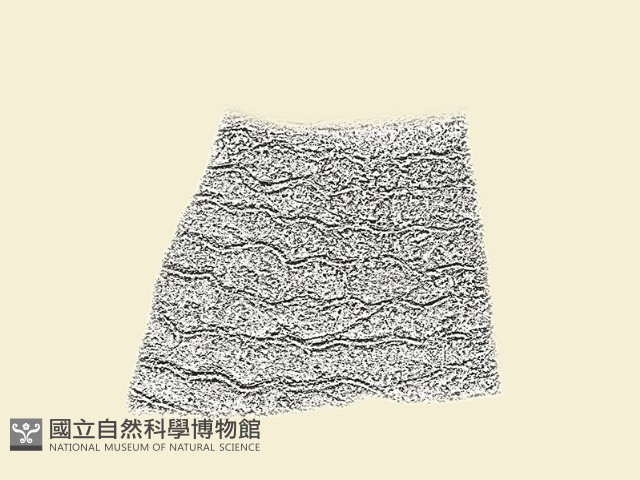 陶片藏品圖，第1張