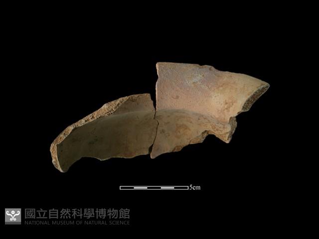 陶罐藏品圖，第2張