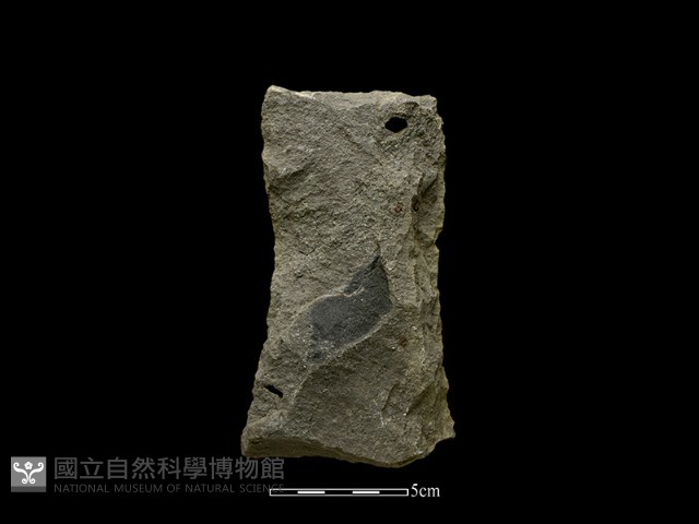 斧鋤形器藏品圖，第2張