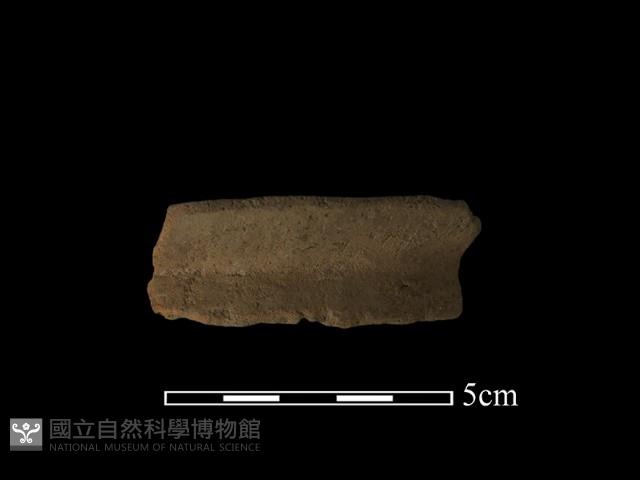 陶片藏品圖，第1張