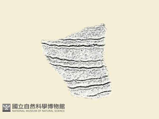 陶片藏品圖，第1張