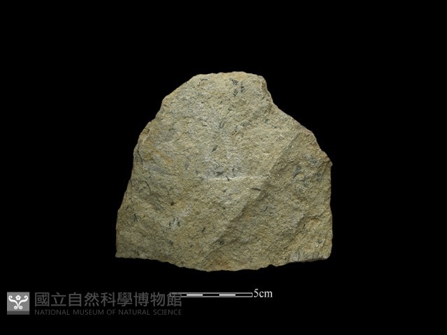 斧鋤形器藏品圖，第2張