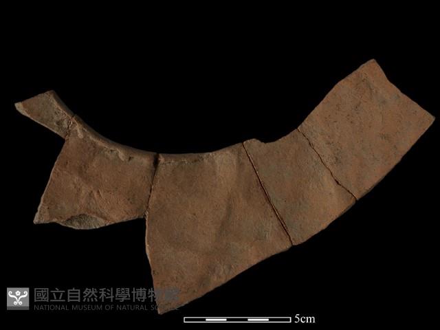 陶片藏品圖，第2張