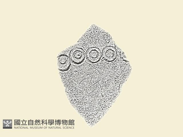 陶片藏品圖，第1張