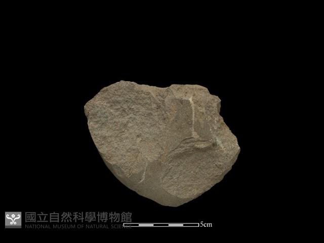 磨製斧鋤形器藏品圖，第2張