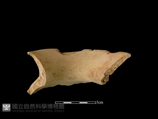 陶罐藏品圖，第2張