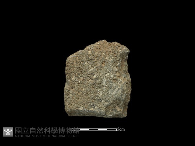 斧鋤形器藏品圖，第2張
