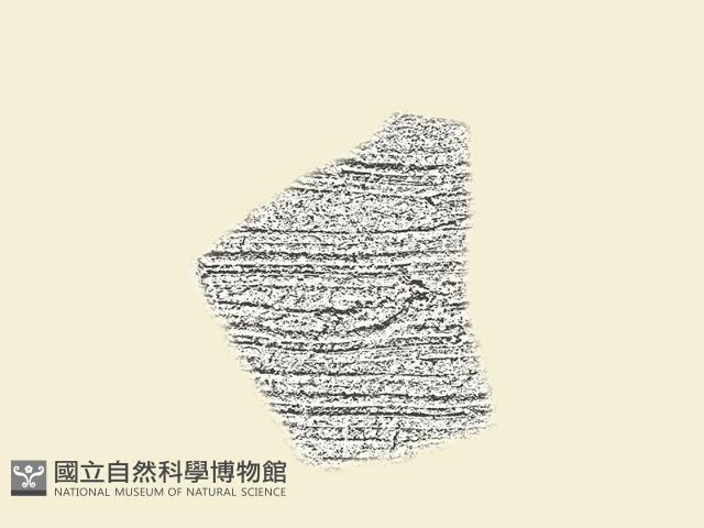 陶片藏品圖，第1張