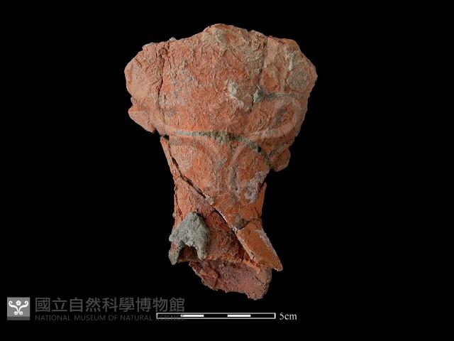 連杯形器藏品圖，第2張