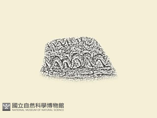 陶片藏品圖，第1張