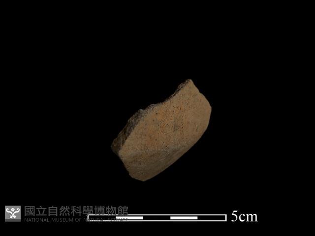 陶片藏品圖，第2張