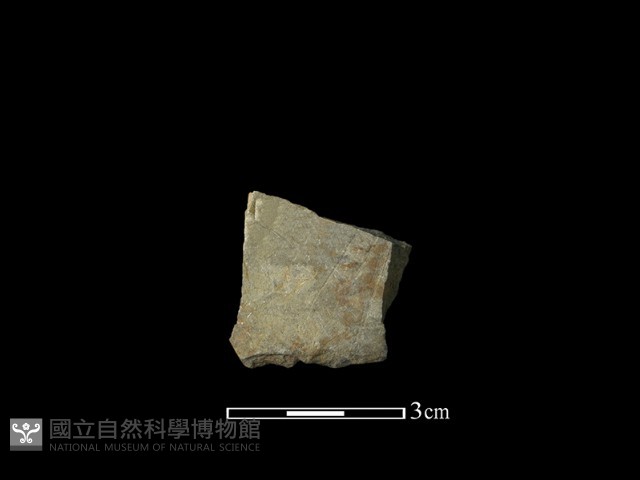 帶加工痕石材藏品圖，第2張