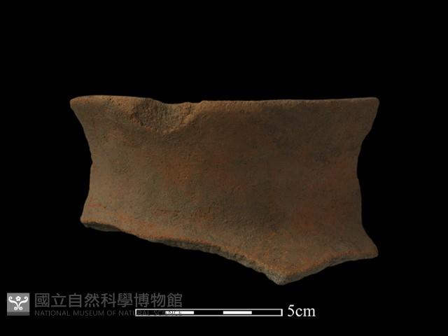 陶片藏品圖，第3張