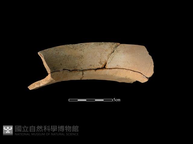 陶罐藏品圖，第2張