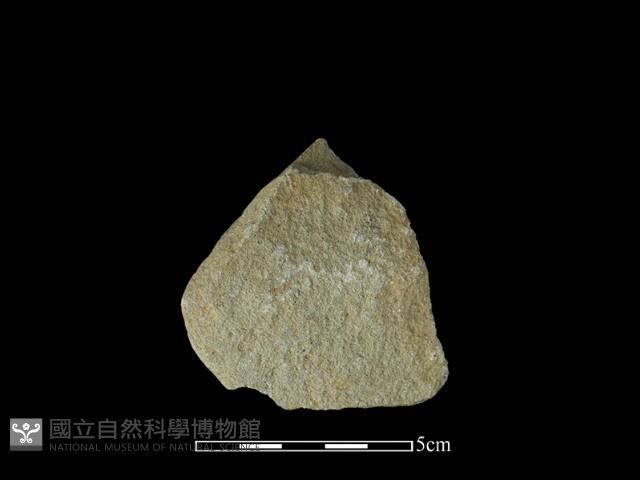 Accession Number:PTP-2014-221 Collection Image, Figure 2, Total 2 Figures