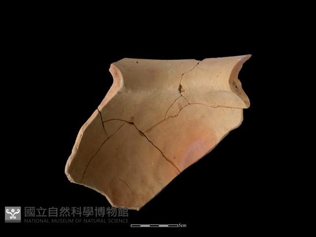 陶罐藏品圖，第1張