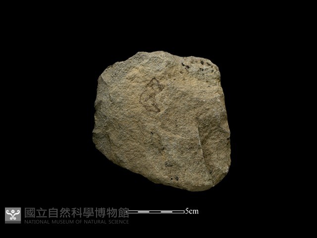 斧鋤形器藏品圖，第2張