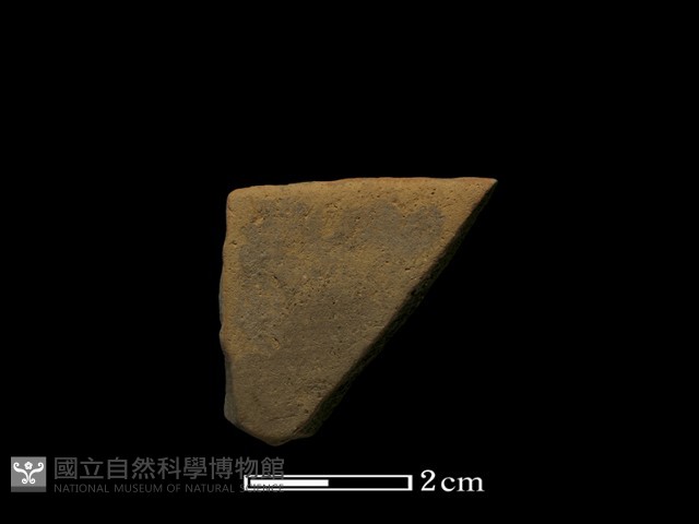 陶片藏品圖，第1張
