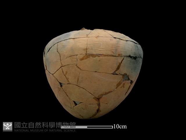 陶罐藏品圖，第2張