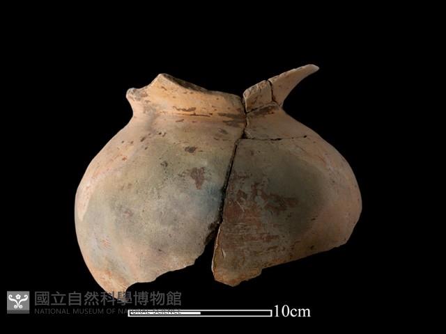 陶罐藏品圖，第1張