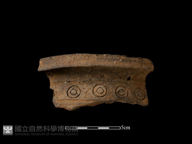 陶片藏品圖，第1張