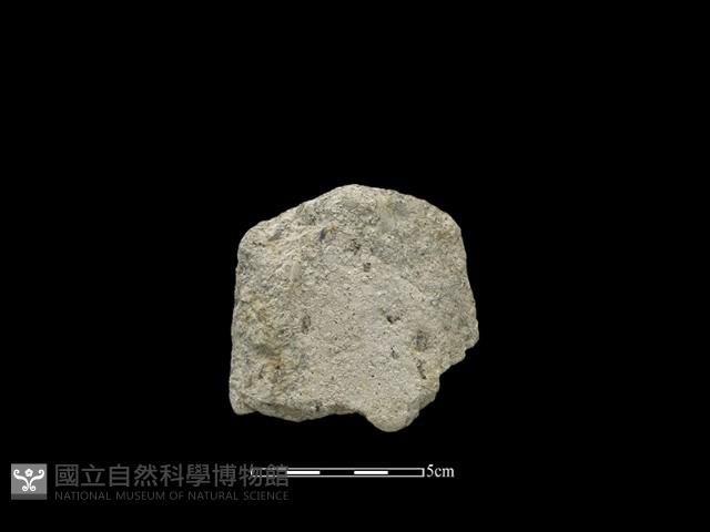 斧鋤形器藏品圖，第2張