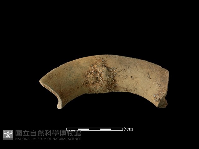 陶罐藏品圖，第2張